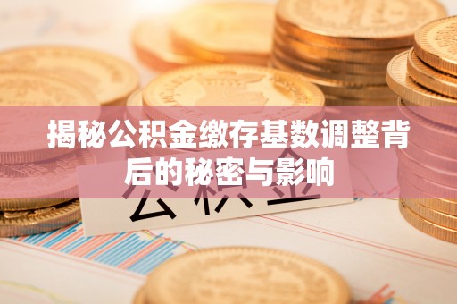 后龙揭秘公积金缴存基数调整背后的秘密与影响