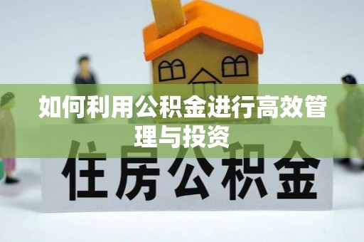 后龙如何利用公积金进行高效管理与投资