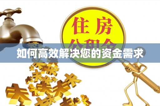 后龙如何高效解决您的资金需求
