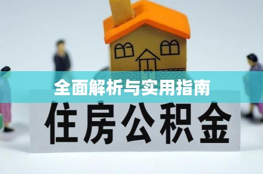 后龙全面解析与实用指南